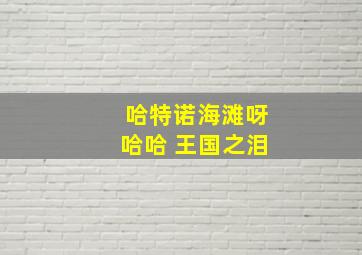 哈特诺海滩呀哈哈 王国之泪